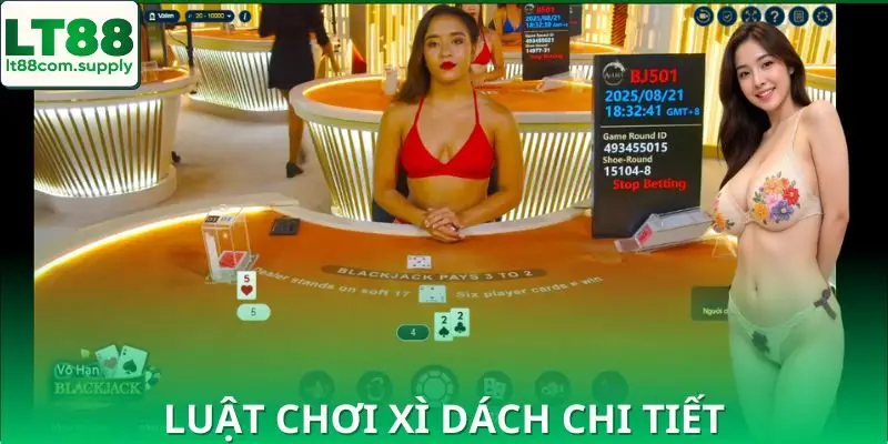 Hướng dẫn cách chơi xì dách theo luật cơ bản