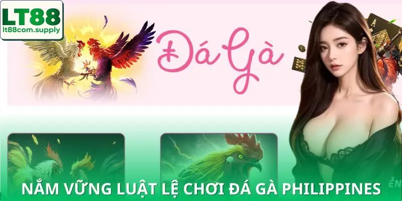 Hướng dẫn chi tiết luật chơi đá gà Philippines