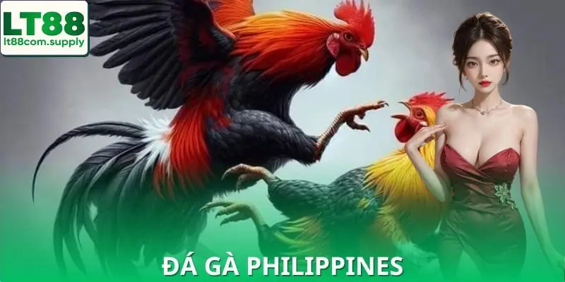Đá Gà Philippines