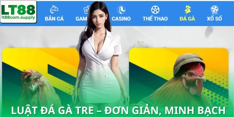 Chia sẻ luật chơi đá gà tre