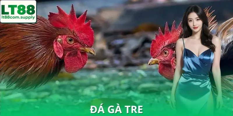 Đá Gà Tre