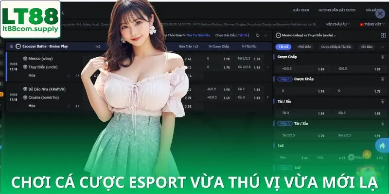 Chơi cá cược ESports cực thú vị và mới lạ trên nhà cái